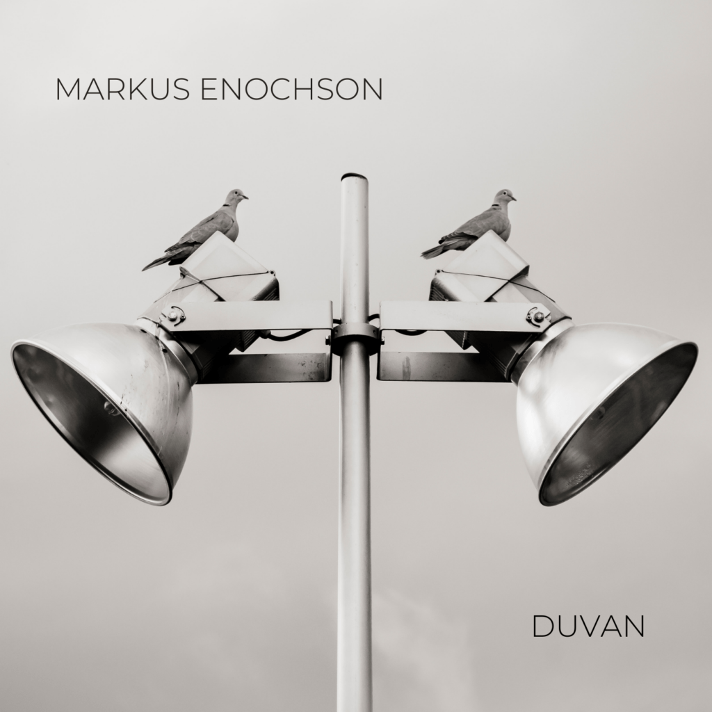 513 // Markus Enochson – Duvan